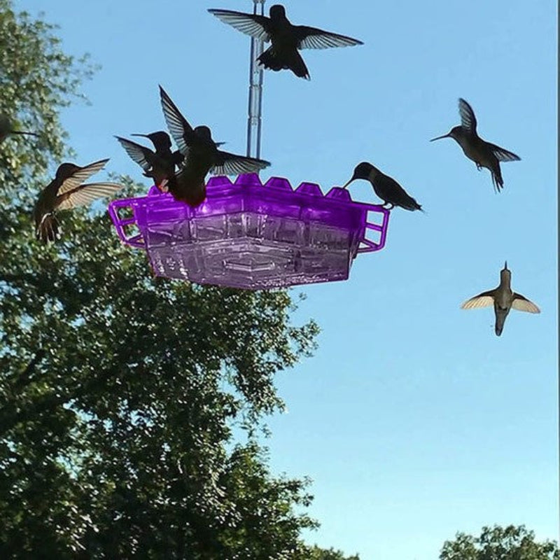 Hängande fågelmatare