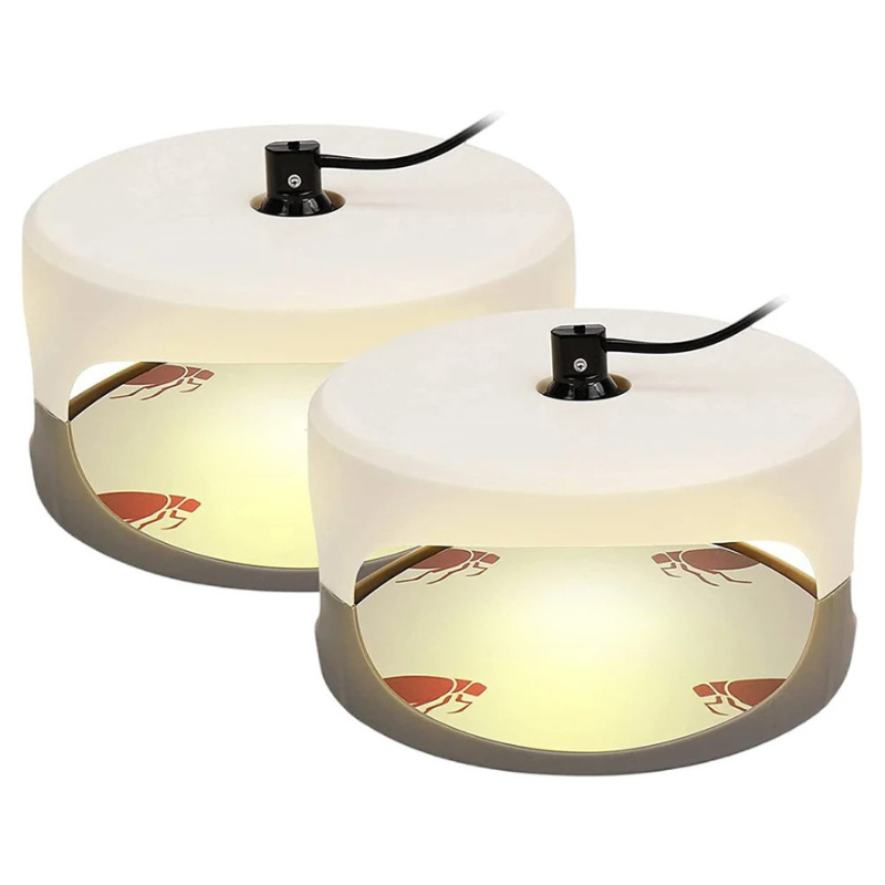 Inomhus Sänglössfälla