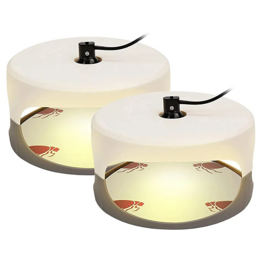 Inomhus Sänglössfälla