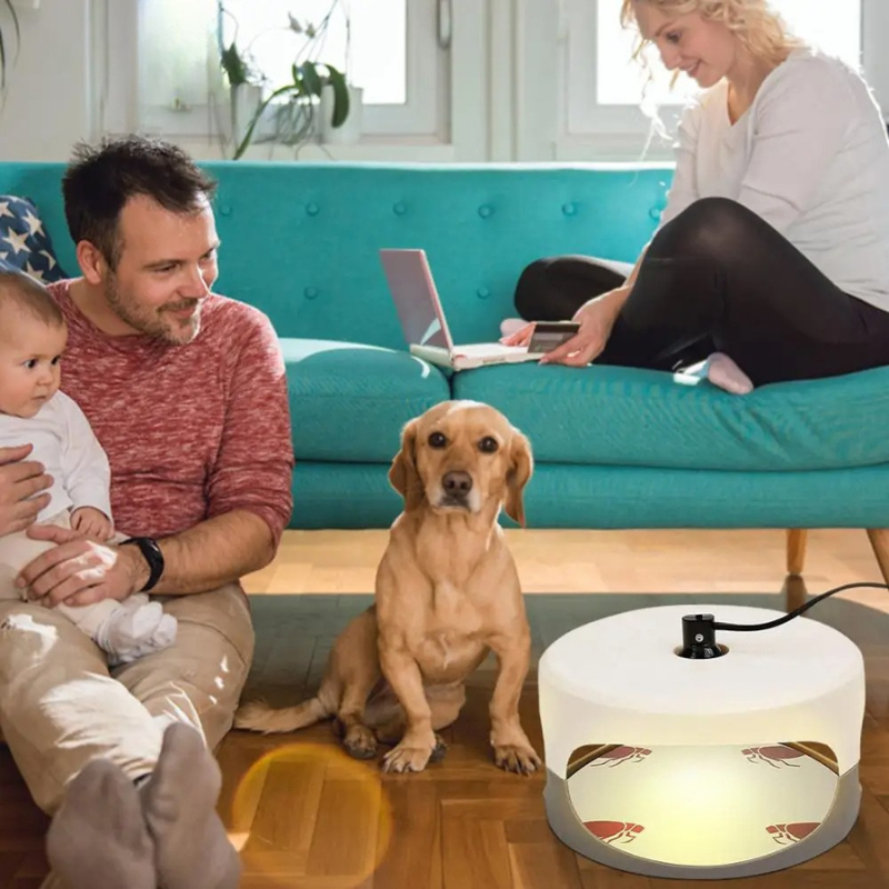 Inomhus Sänglössfälla