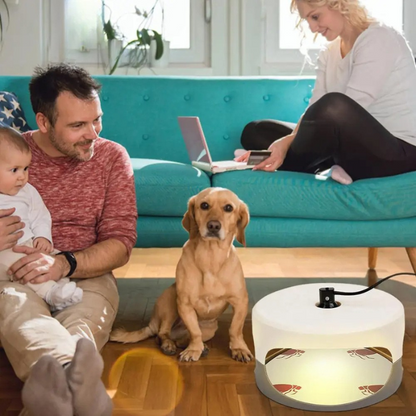 Inomhus Sänglössfälla