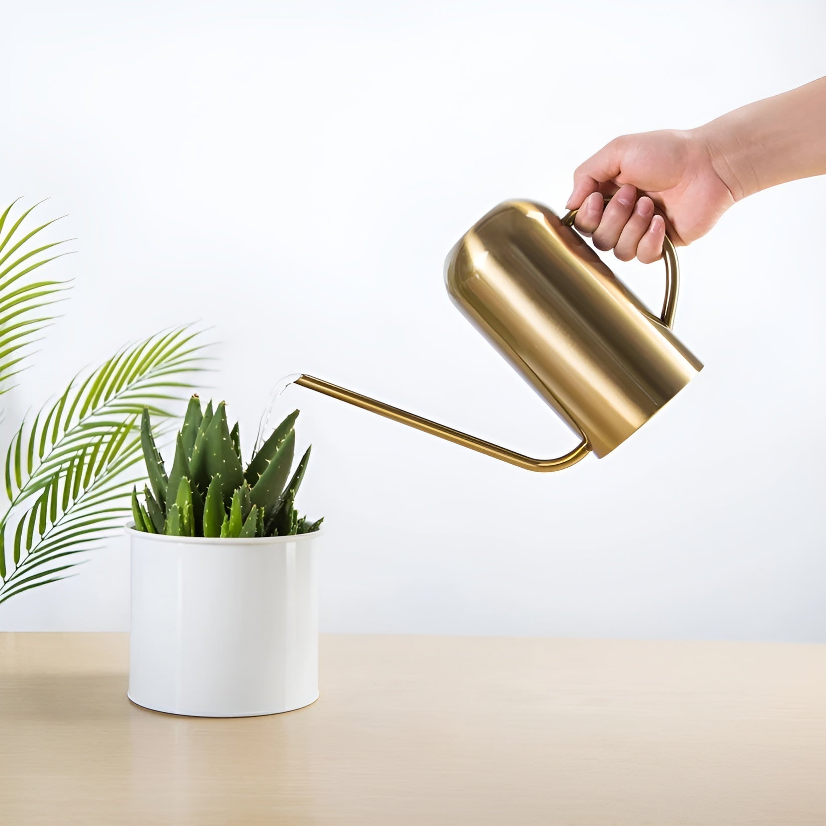 Vattenkanna – Metall med Lång Pip för Inomhus och Utomhusbruk 3